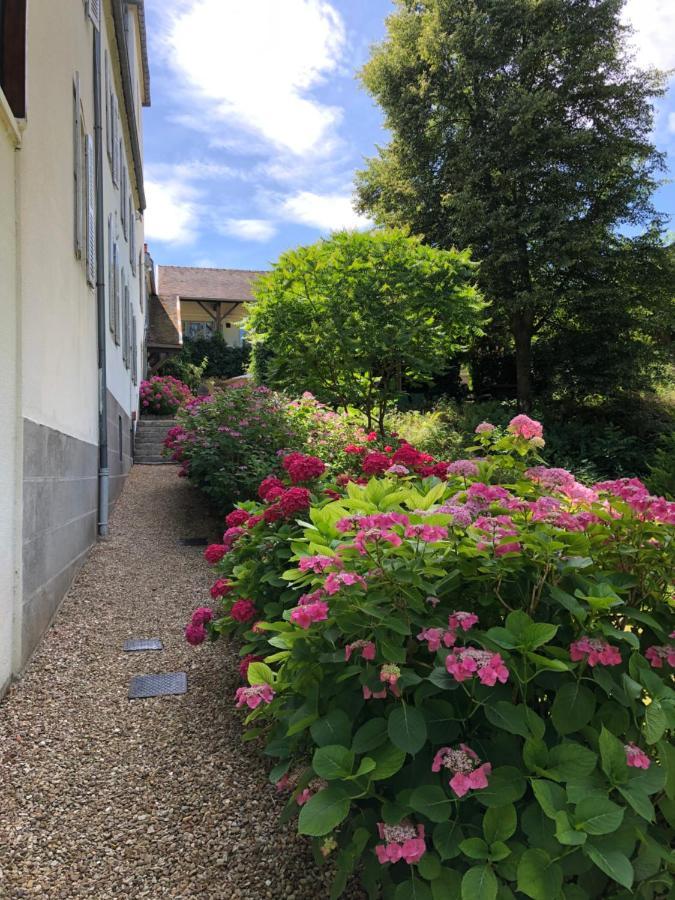 Chateau Saint Claude An Der Saone Mantoche Exterior foto